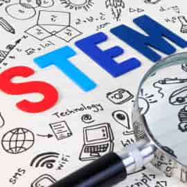 Research School Burewala STEM Education Syllabus