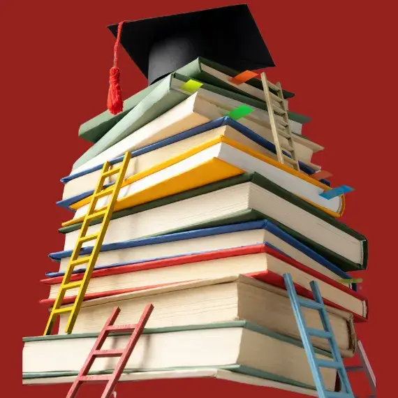 Academic Levels of Research School Burewala