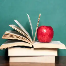 Specific Areas of Education for Early Years at Research School Burewala